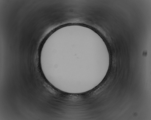 X0000100891270200807220943