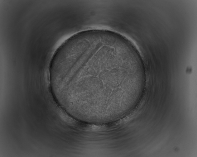 X0000100891271200807220943