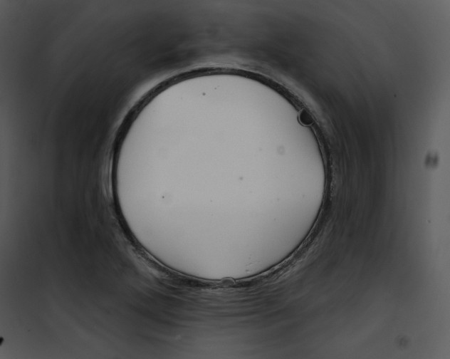 X0000100891272200807220943