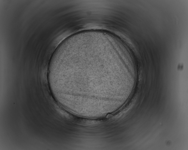 X0000100891273200807220943