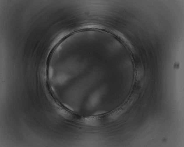 X0000100891274200807220943