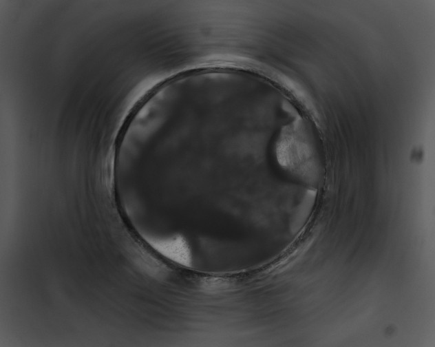 X0000100891275200807220943