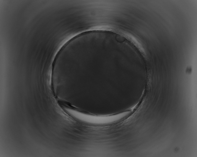 X0000100891276200807220943