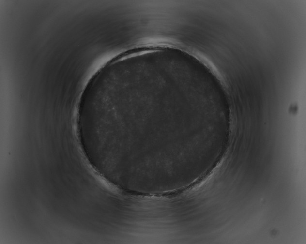 X0000100891277200807220943