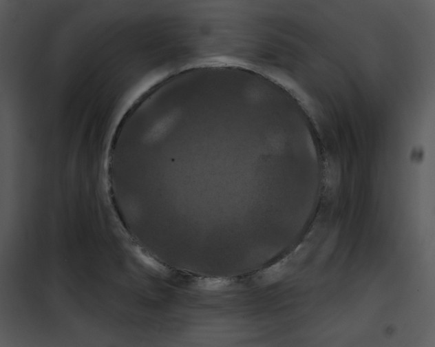 X0000100891278200807220943