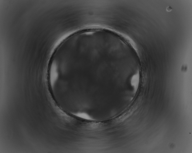 X0000100891279200807220943