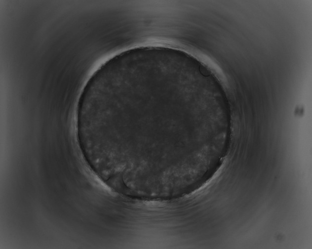 X0000100891280200807220943