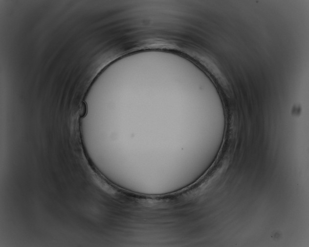 X0000100891281200807220943