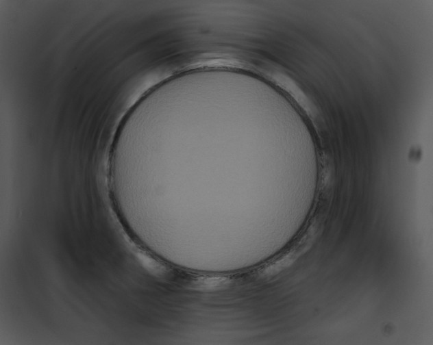 X0000100891282200807220943