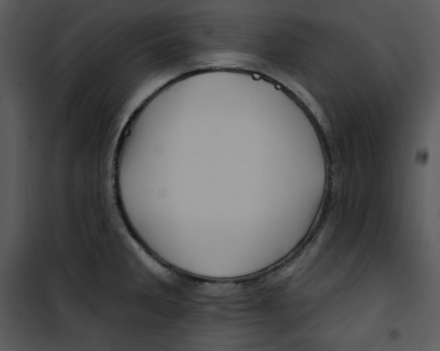 X0000100891285200807220943