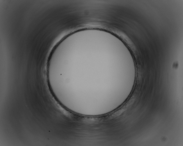 X0000100891286200807220943