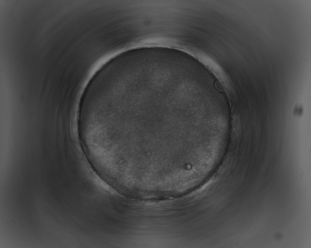 X0000100891288200807220942