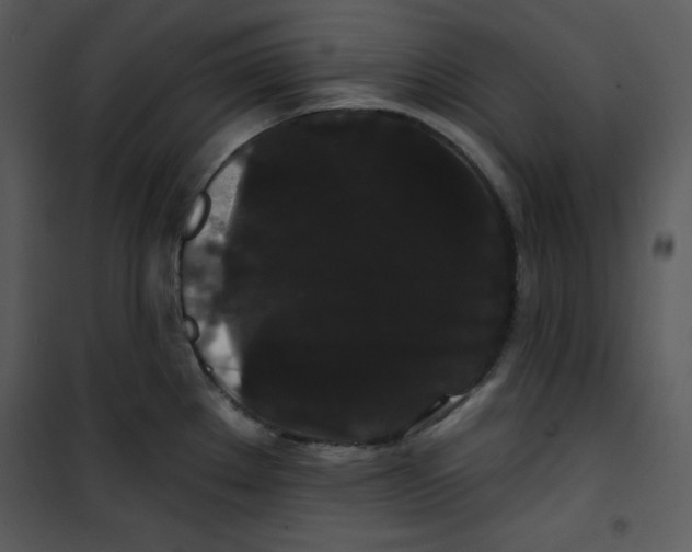 X0000100891289200807220942