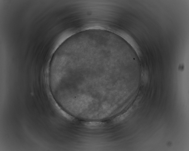 X0000100891290200807220942