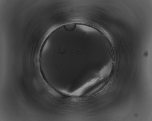 X0000100891291200807220942