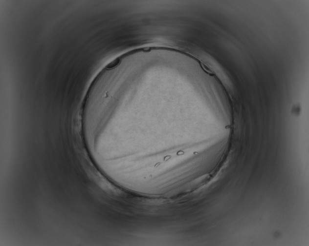 X0000100891292200807220942