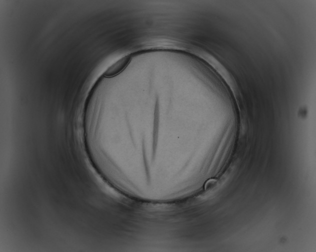 X0000100891293200807220942