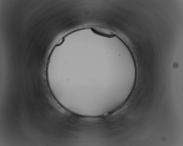 X0000100891296200807220942