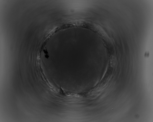 X0000100891298200807220942