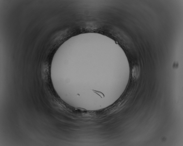 X0000100891299200807220942