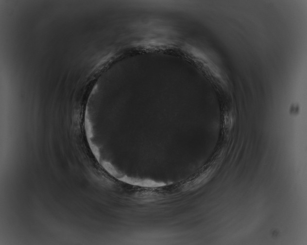 X0000100891300200807220942