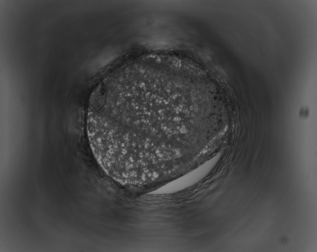 X0000100891301200807220942