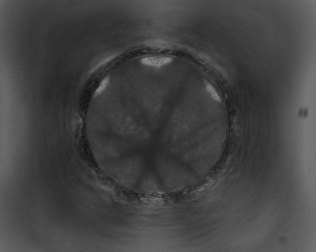 X0000100891302200807220942