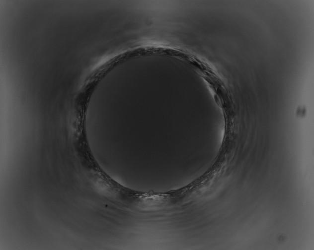 X0000100891303200807220942