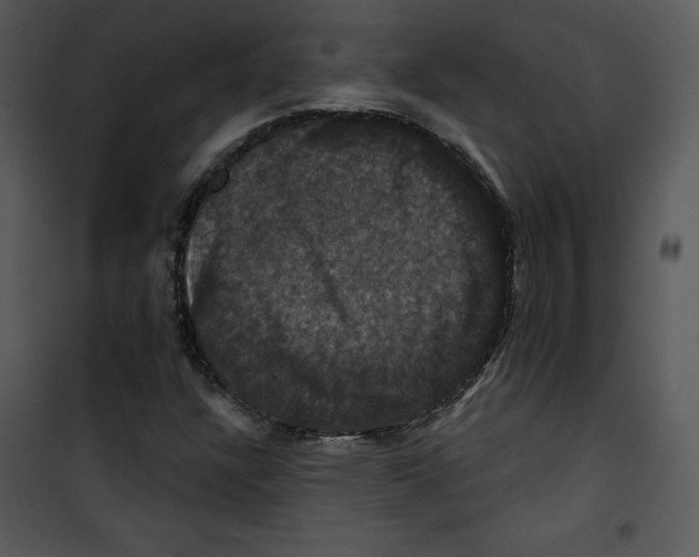 X0000100891304200807220942