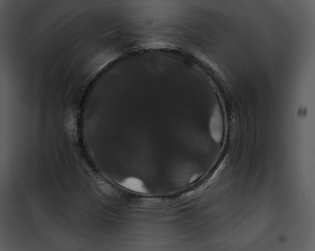 X0000100891305200807220942