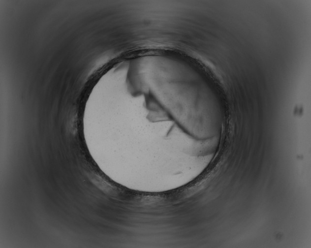 X0000100891306200807220942