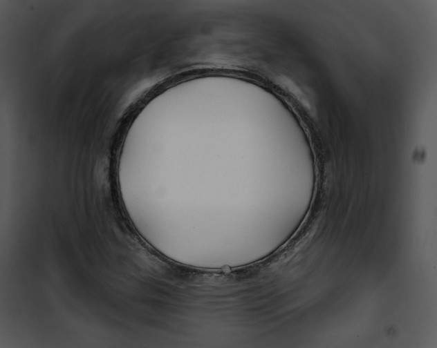 X0000100891307200807220942