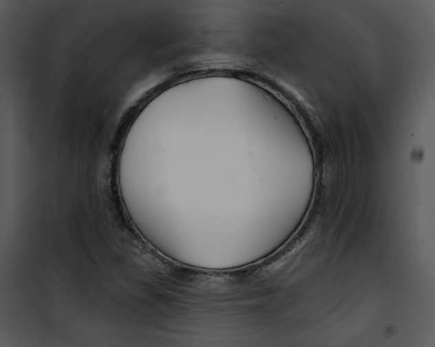 X0000100891309200807220942