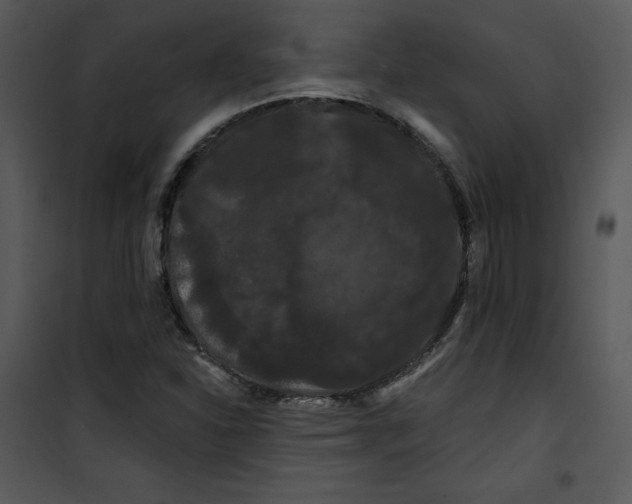 X0000100891310200807220942