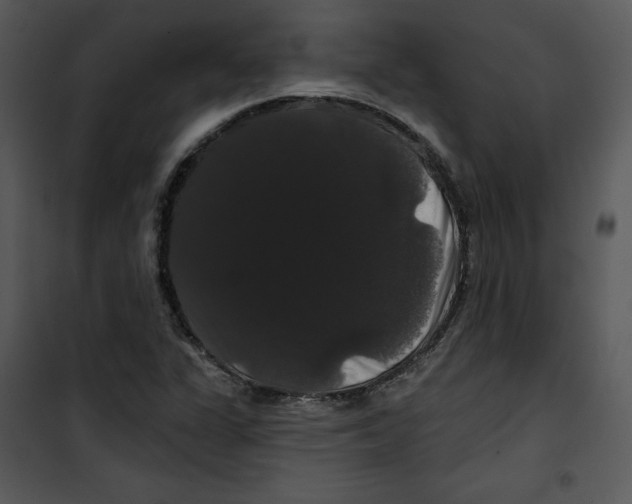 X0000100891311200807220942