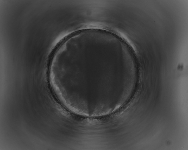 X0000100891312200807220942