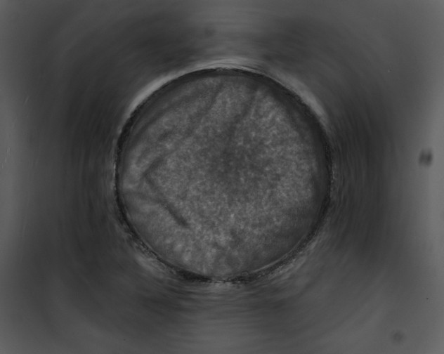 X0000100891316200807220942