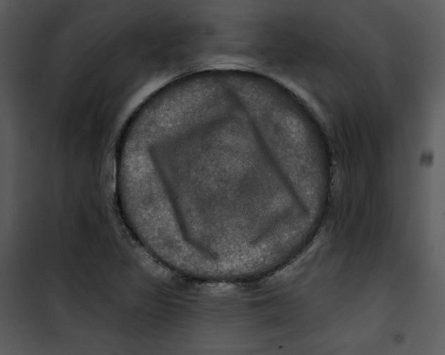 X0000100891317200807220942