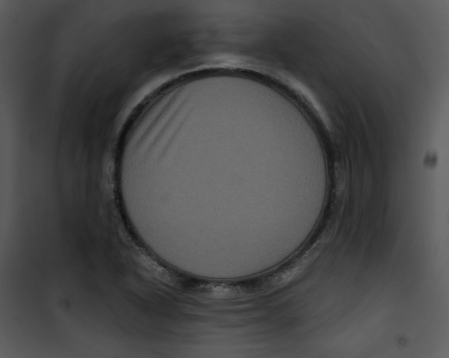 X0000100891318200807220942