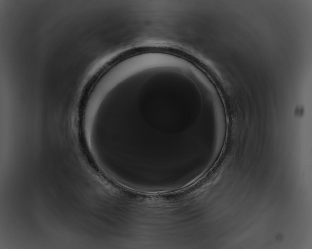 X0000100891319200807220942