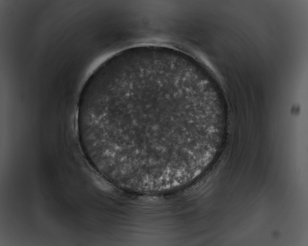 X0000100891320200807220942