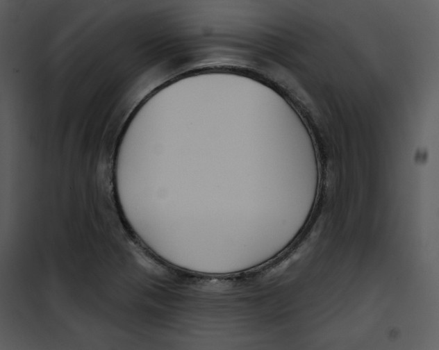 X0000100891321200807220942