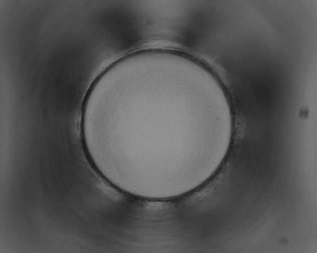 X0000100891322200807220942