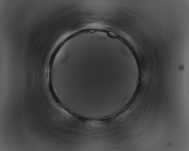 X0000100891323200807220942