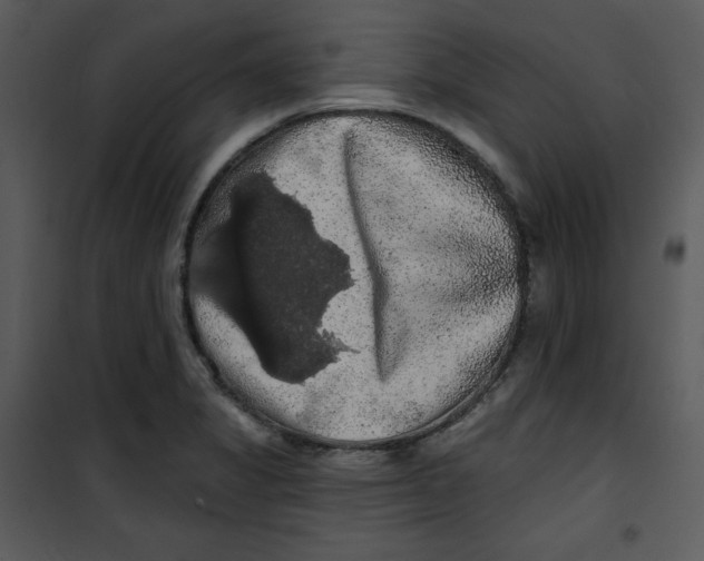 X0000100891325200807220942