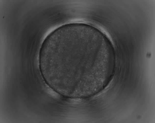 X0000100891328200807220942