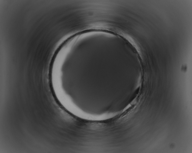 X0000100891331200807220942