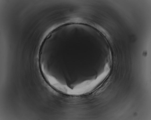 X0000100891334200807220942