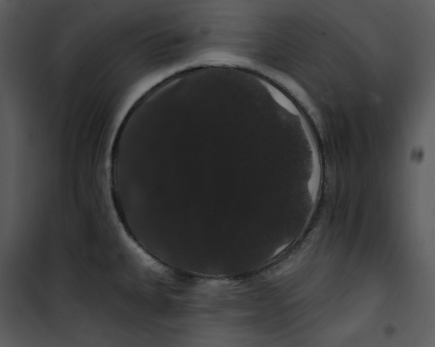 X0000100891335200807220942