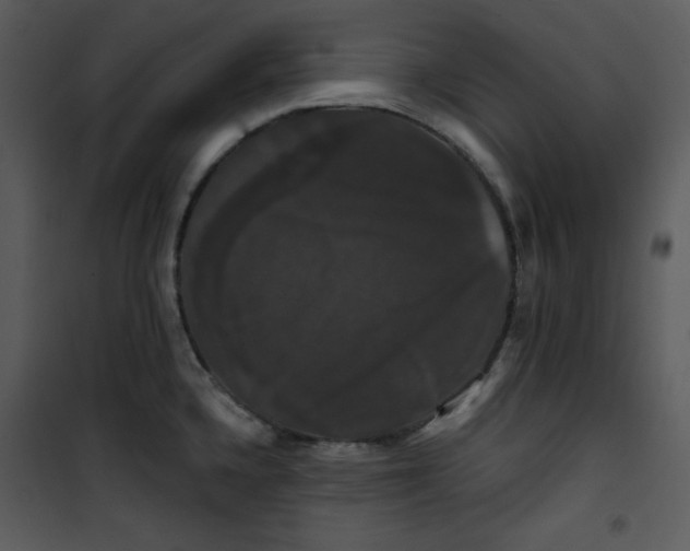 X0000100891336200807220942